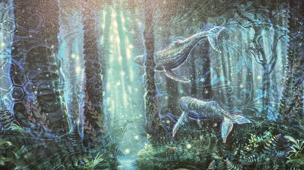 Forest Whale Dreaming