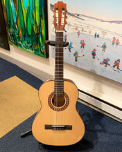Load image into Gallery viewer, Acoustic Guitar
